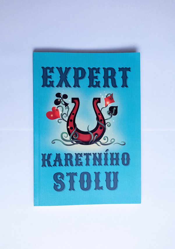 Expert u karetniho stolu cesky preklad Karel Goldmann